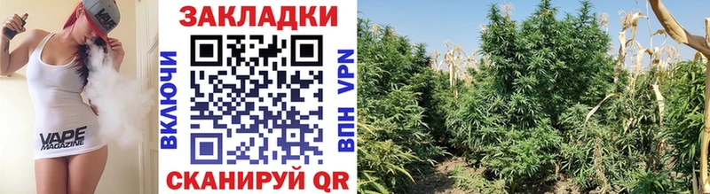 Купить наркотик Павловск Канабис  Alpha-PVP  Меф 