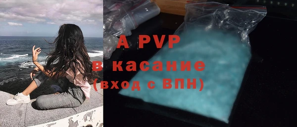 МДПВ Богородск