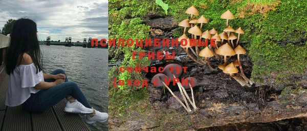 марки lsd Богданович