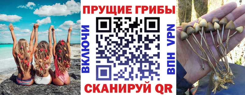 Галлюциногенные грибы GOLDEN TEACHER Павловск
