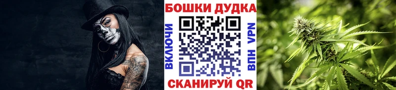 Шишки марихуана планчик Павловск